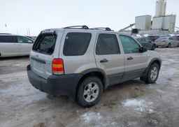 2007 FORD ESCAPE XLT
