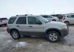 2007 FORD ESCAPE XLT