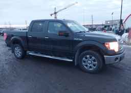 2014 FORD F150 SUPERCREW
