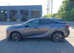 2023 LEXUS RX 350