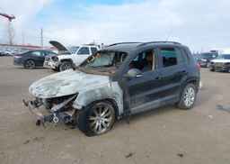 2010 VOLKSWAGEN TIGUAN SE