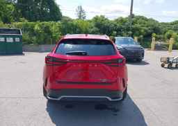 2025 LEXUS NX 350 LUXURY