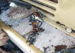 1999 FREIGHTLINER CHASSIS X LINE MOTOR HOME