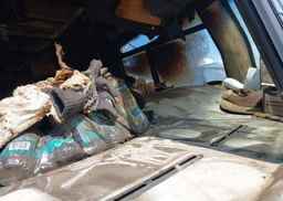 1999 FREIGHTLINER CHASSIS X LINE MOTOR HOME
