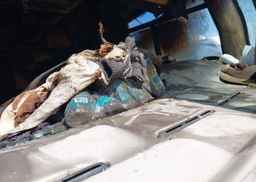 1999 FREIGHTLINER CHASSIS X LINE MOTOR HOME