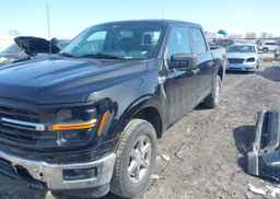 2024 FORD F150 XLT