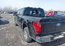 2024 FORD F150 XLT