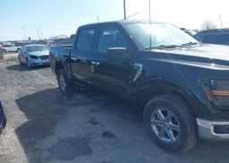 2024 FORD F150 XLT