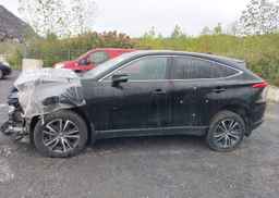 2024 TOYOTA VENZA LE