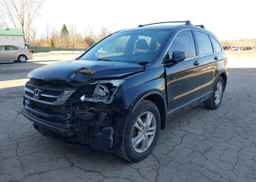 2010 HONDA CR-V