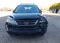 2010 HONDA CR-V