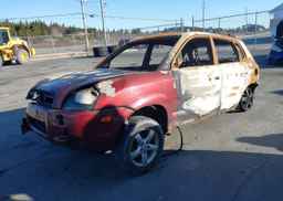 2009 HYUNDAI TUCSON 25TH ANNIVERSARY
