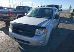 2012 FORD ESCAPE XLT
