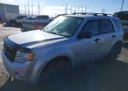2012 FORD ESCAPE XLT