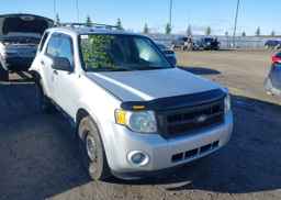 2012 FORD ESCAPE XLT