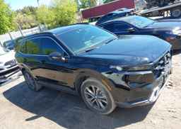 2025 HONDA CRV