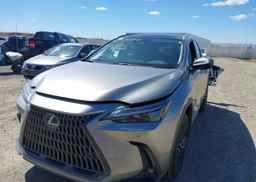 2024 LEXUS NX 350H