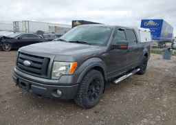 2009 FORD F-150 FX4