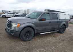 2009 FORD F-150 FX4