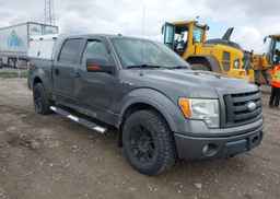 2009 FORD F-150 FX4