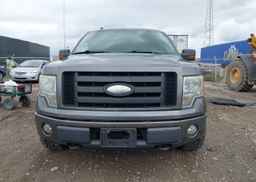 2009 FORD F-150 FX4
