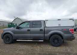2009 FORD F-150 FX4