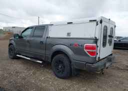 2009 FORD F-150 FX4