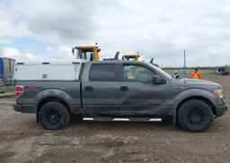2009 FORD F-150 FX4