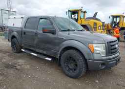 2009 FORD F-150 FX4