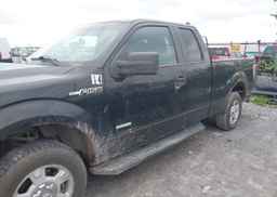 2011 FORD F150 SUPER CAB