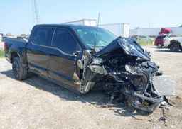 2024 FORD F150 XLT