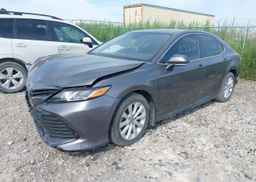 2019 TOYOTA CAMRY L
