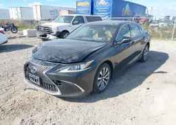 2019 LEXUS ES 300H