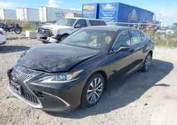 2019 LEXUS ES 300H