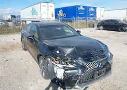 2019 LEXUS ES 300H