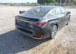2019 LEXUS ES 300H