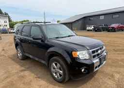 2010 FORD ESCAPE LIMITED