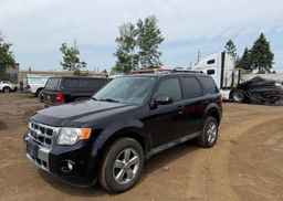 2010 FORD ESCAPE LIMITED