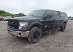 2013 FORD F-150 XLT