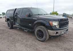 2013 FORD F-150 XLT