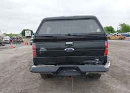 2013 FORD F-150 XLT
