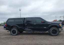 2013 FORD F-150 XLT