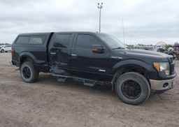 2013 FORD F-150 XLT