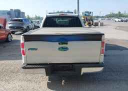 2010 FORD F-150