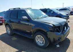 2008 FORD ESCAPE XLT