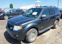 2008 FORD ESCAPE XLT