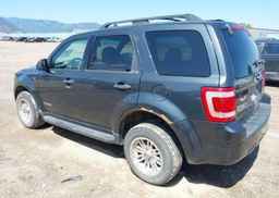 2008 FORD ESCAPE XLT