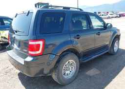 2008 FORD ESCAPE XLT