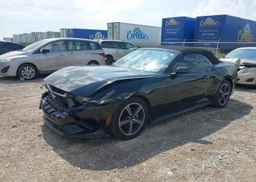 2024 FORD Mustang Convertible