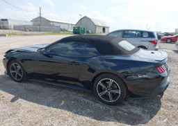 2024 FORD Mustang Convertible